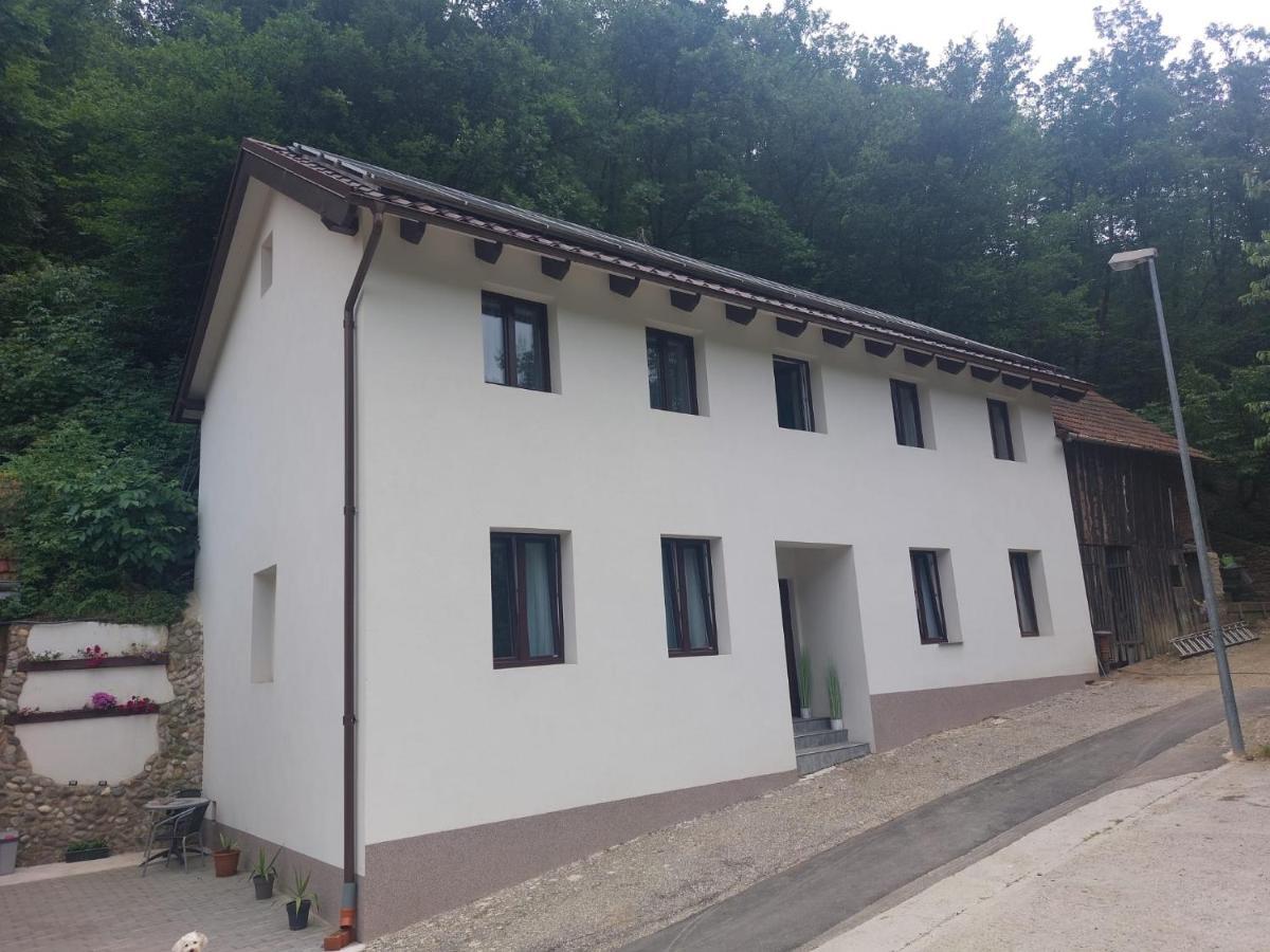 Gaestehaus Coco 多瑙河畔克雷姆斯 外观 照片
